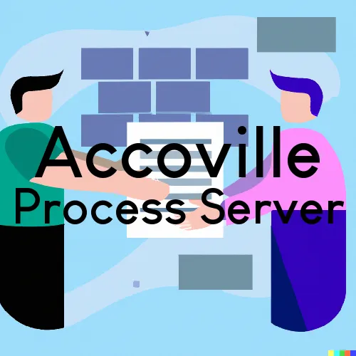 Accoville Process Server, “On time Process“ 