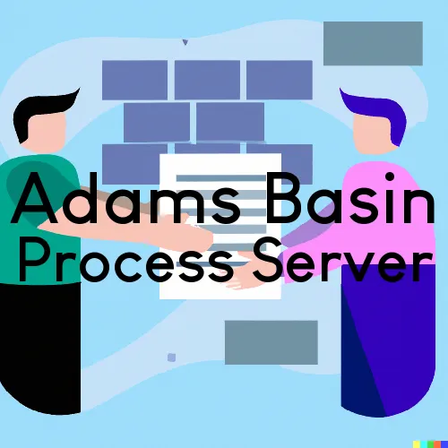 Adams Basin, NY Process Server, “Chase and Serve“ 