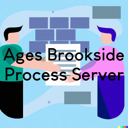 Ages Brookside Process Server, “On time Process“ 