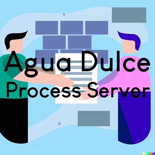 Process Servers in Agua Dulce, California