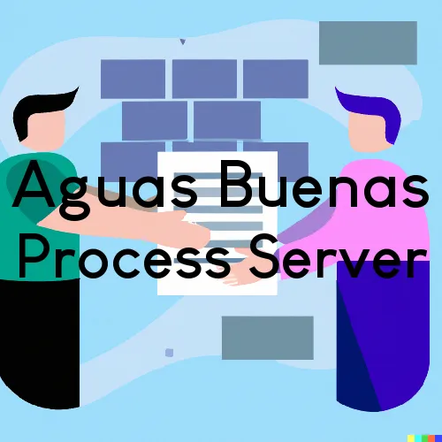 Aguas Buenas, PR Process Server, “Serving by Observing“ 