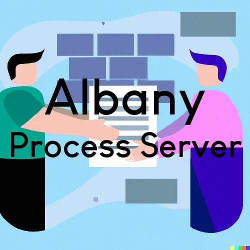 NY Process Servers in Albany, Zip Code 12205