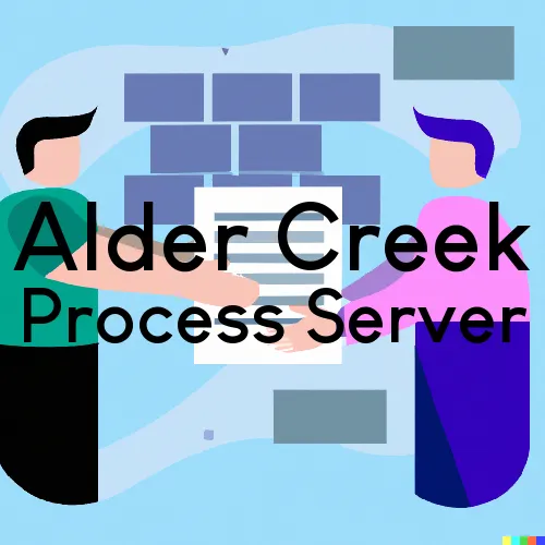 Alder Creek, New York Process Server, “Serving by Observing“ 