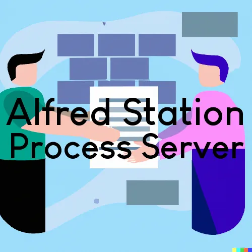 Alfred Station, NY Process Servers in Zip Code 14803