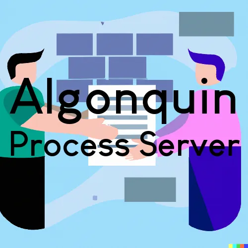 Algonquin, Illinois Process Servers
