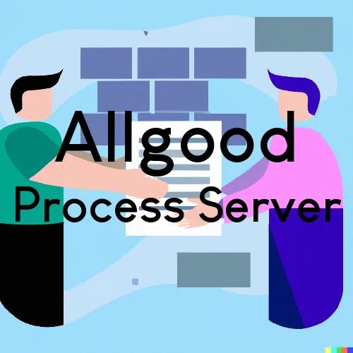 Process Servers in Zip Code Area 35013 in Allgood