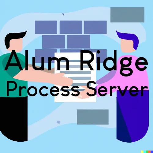 Alum Ridge, VA Process Servers in Zip Code 24091