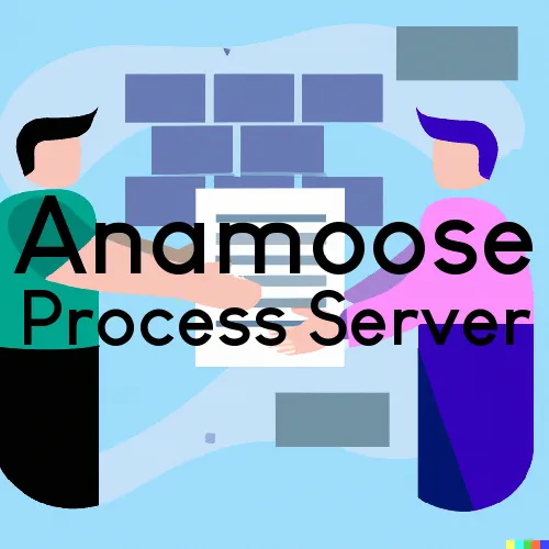 Anamoose, North Dakota Process Servers
