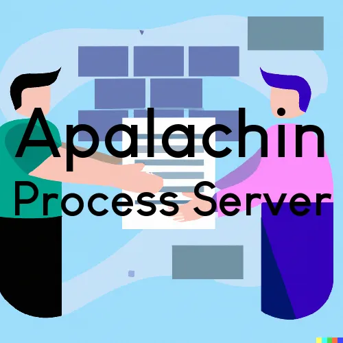 Apalachin, NY Process Server, “Judicial Process Servers“ 