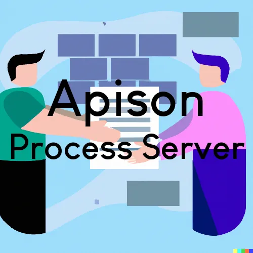 Apison, Tennessee Court Couriers and Process Servers