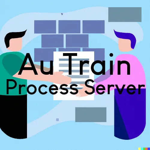 Au Train Process Server, “Chase and Serve“ 