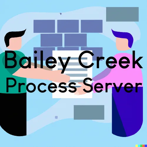 Bailey Creek Process Server, “Chase and Serve“ 
