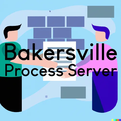Bakersville, OH Process Servers in Zip Code 43803