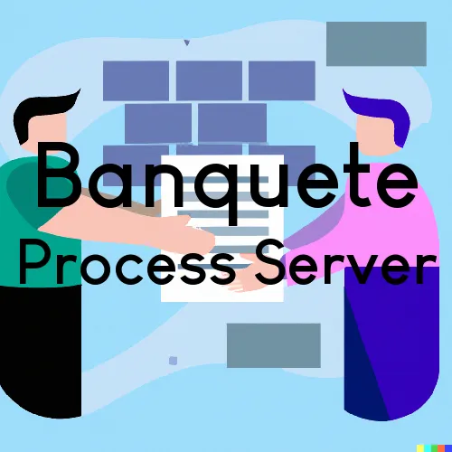 Banquete, TX Process Servers in Zip Code 78339