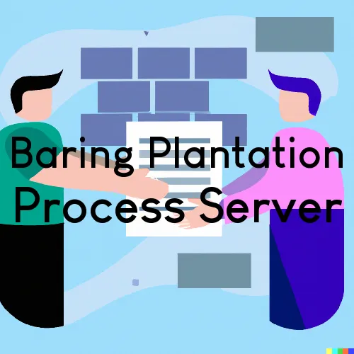 Baring Plantation, ME Process Server, “Serving by Observing“ 