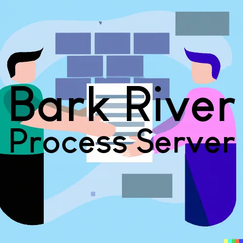 Courthouse Runner and Process Servers in Bark River