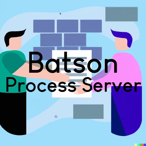 Batson, TX Process Server, “Process Support“ 