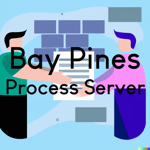 Bay Pines, Florida Process Server, “Serving by Observing“ 