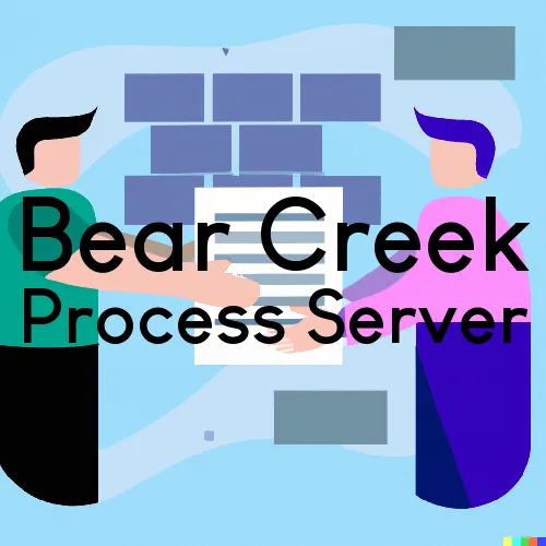 Bear Creek, Wisconsin Process Servers and Field Agents