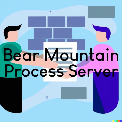 Bear Mountain, NY Process Server, “Thunder Process Servers“ 