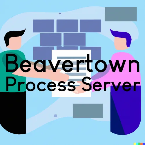 Beavertown, PA Process Servers in Zip Code 17813