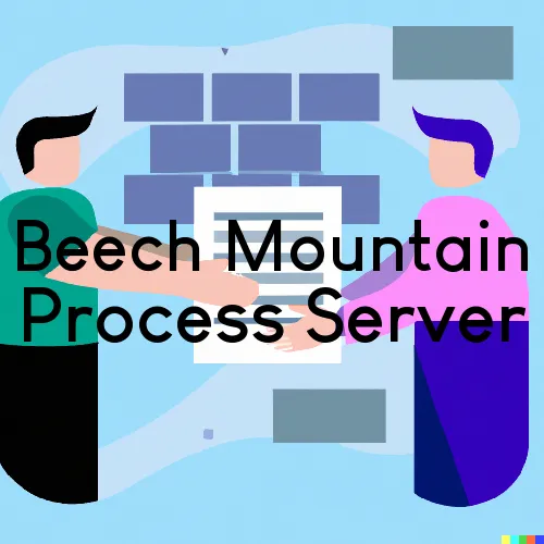 Beech Mountain, NC Process Servers in Zip Code 28604