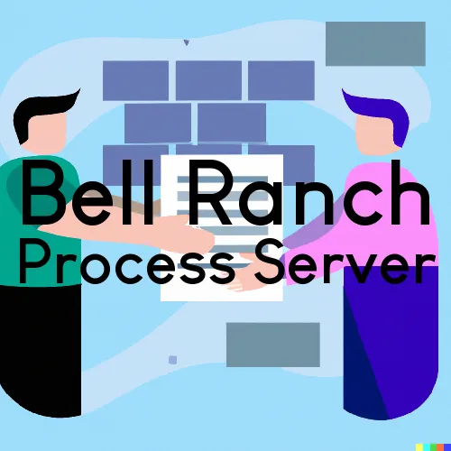 Bell Ranch, NM Process Server, “Process Servers, Ltd.“ 