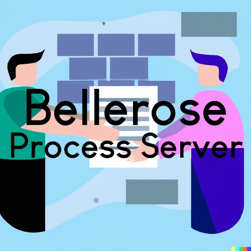 Bellerose Process Server, “Serving by Observing“ 