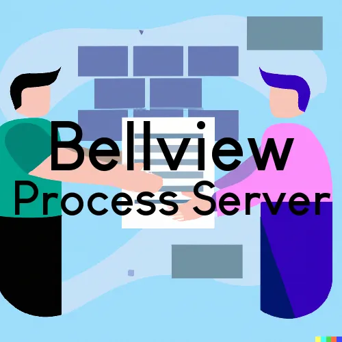 Bellview, Florida Process Servers