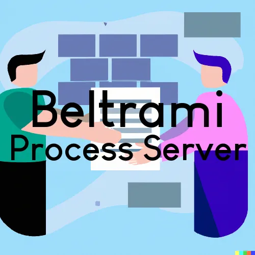 Beltrami, Minnesota Court Couriers and Process Servers