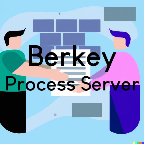 Berkey, Ohio Process Servers