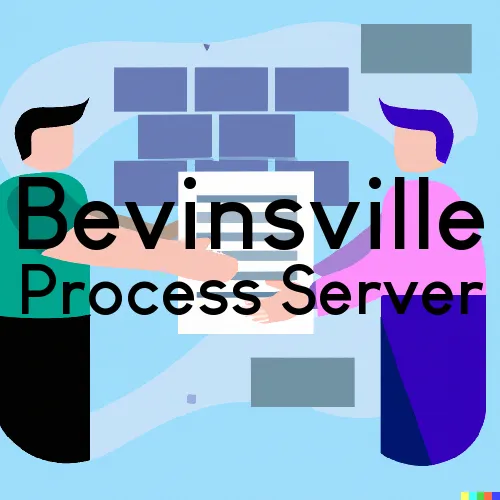 Bevinsville, Kentucky Process Servers