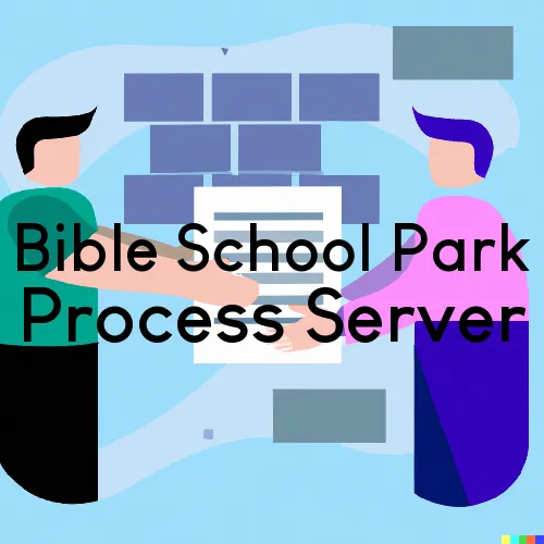 Bible School Park, NY Process Servers in Zip Code 13737