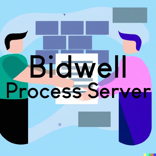 Bidwell, OH Process Servers in Zip Code 45614