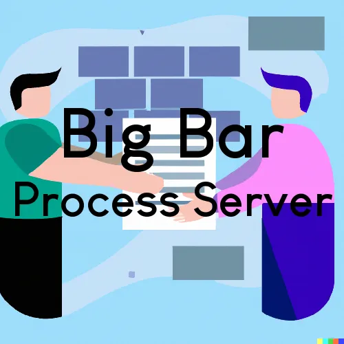 Big Bar, California Process Server, “Rush and Run Process“ 