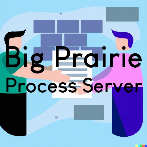 Big Prairie, OH Process Servers in Zip Code 44611
