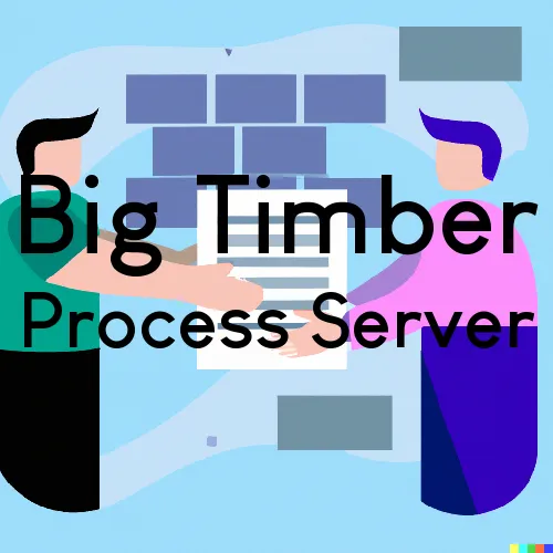 Big Timber Subpoena Process Servers in Zip Code 59011 
