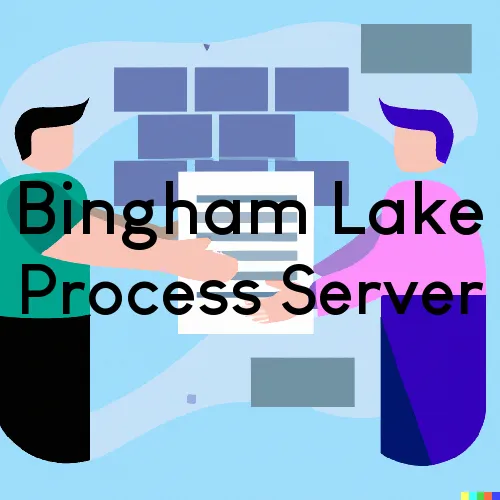 Bingham Lake, Minnesota Process Servers