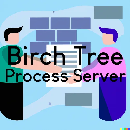 Birch Tree, MO Process Servers in Zip Code 65438