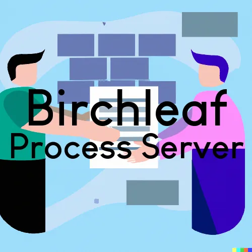 Birchleaf, VA Process Servers in Zip Code 24220