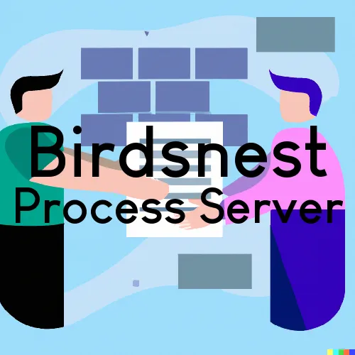Birdsnest, VA Process Servers and Courtesy Copy Messengers