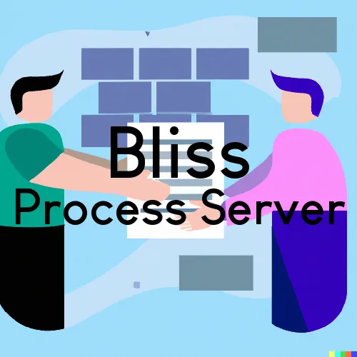 Bliss, New York Process Servers