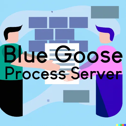 Blue Goose, WV Process Server, “Rush and Run Process“ 