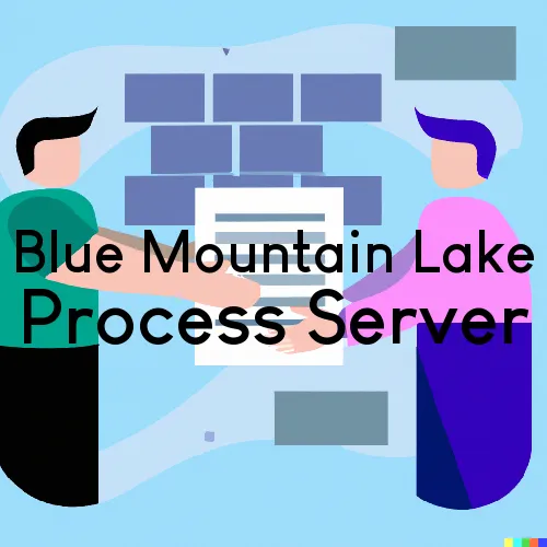 Blue Mountain Lake, NY Process Servers in Zip Code 12812