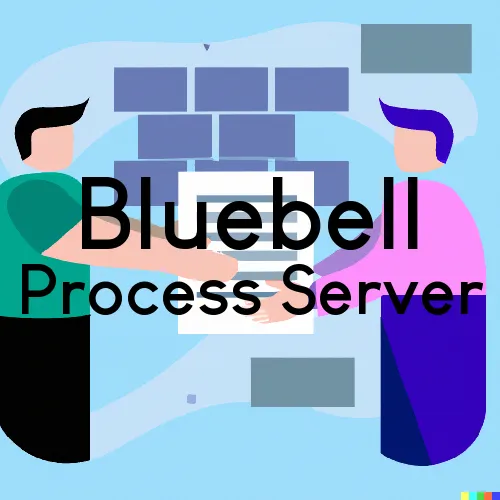 Bluebell, Utah Process Servers