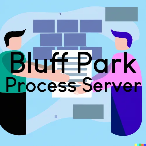 Bluff Park, Alabama Process Servers