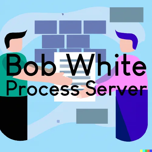 Bob White Process Server, “Gotcha Good“ 