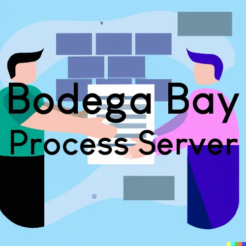 Bodega Bay, California Court Couriers and Process Servers