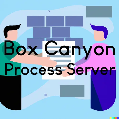 Box Canyon, California Process Servers