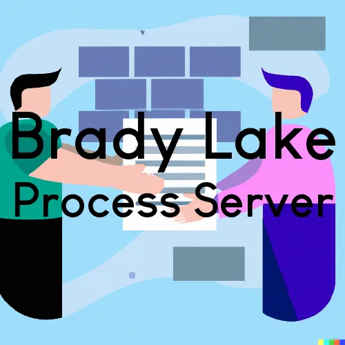Brady Lake, OH Process Server, “Chase and Serve“ 